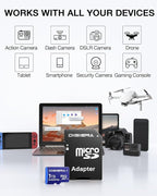 1T LT100 microSDXC UHS-I Memory Card with Adapter - up to 170MB/s, C10, U3, V30, 4K, A2, Micro SD Card for Smartphones, Tablets, Cameras, Gaming Consoles, and Drones (1 Pack)
