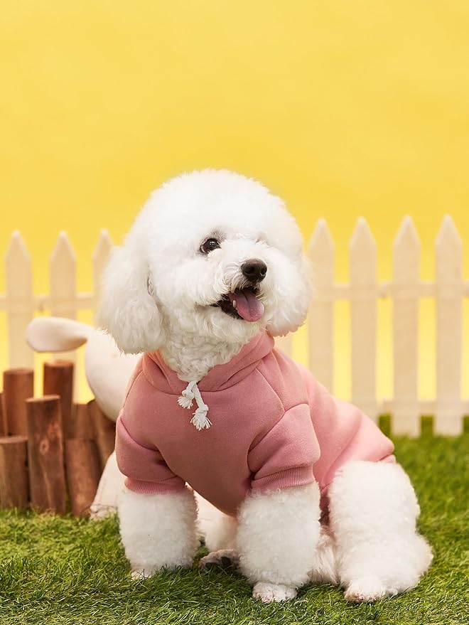 QWINEE Basic Dog Hoodie Sweatshirt Puppy Sweater Warm Cat Costumes Pet Clothes for Chihuahua Puppy Kitten Small Medium Dogs Pink and Green Small