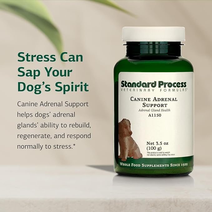 Standard Process Canine Adrenal Support - Nutritional Canine Supplement for Liver & Kidney Support - Powder Formula to Aid Dog's Adrenal Glands & Health - 100 g