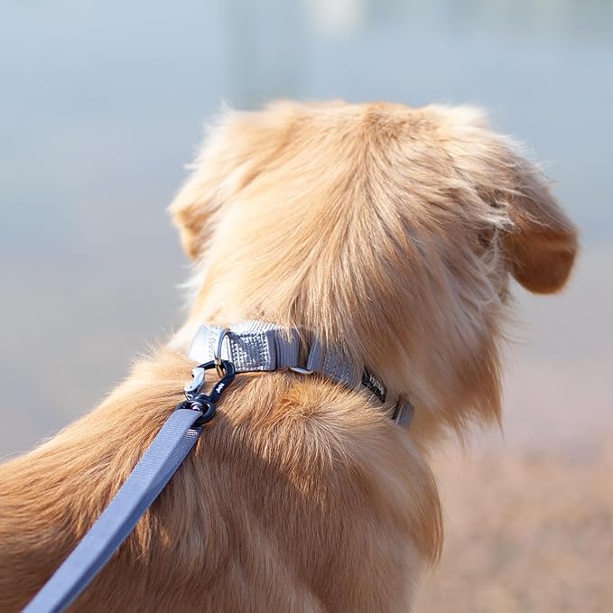 Hyhug Martingale Collar for Dogs Large Gray |Escape - Proof Heavy Duty Nylon Durable No Pull, Ideal for Training & Daily Walks