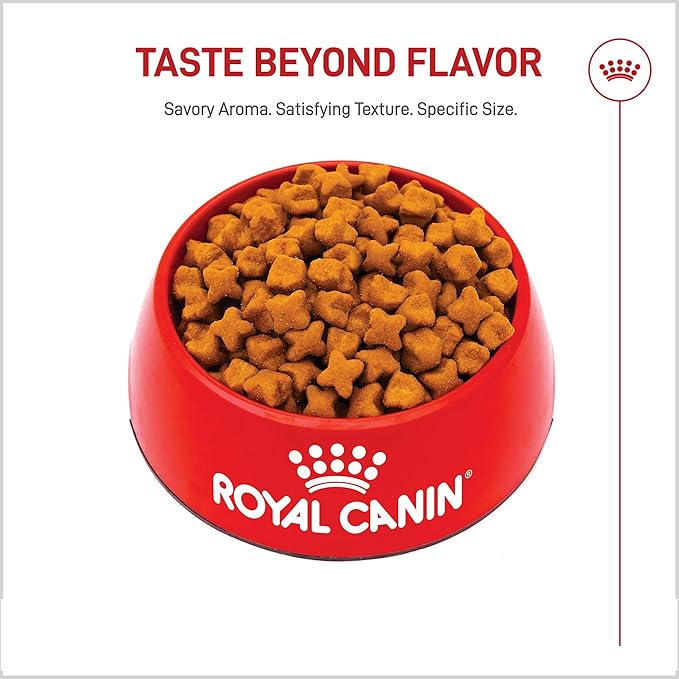 Royal Canin Breed Health Nutrition German Shepherd Adult Dry Dog Food, 30 lb Bag