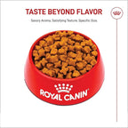 Royal Canin Breed Health Nutrition German Shepherd Adult Dry Dog Food, 30 lb Bag