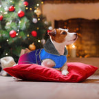 Dogcheer Dog Coat, Christmas Dog Jacket Waterproof Pet Winter Coat for Cold Weather, Reflective Adjustable Puppy Snow Jacket Fleece Sweater for Small Medium Large Dogs - Gradient Blue-red, XL