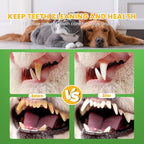 Dog Dental Powder with Probiotics & Brown Algae – Advanced Plaque Remover for Dogs, Teeth Cleaning Formula to Reduce Tartar & Freshen Breath, 90g Pet Dental Care Supplement (90, Grams)