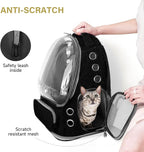 Cat Backpack Carrier, Breathable Cat Carrier Large Space Bubble Pet Backpack for Kitty Small Dog up to 12lbs, Transparent & Foldable Pet Carrier for Travel Hiking (Black