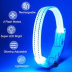 Light Up Dog Collar at Night, Led Dog Collar Adjustable, Rechargeable Waterproof, Dog Lights for Night Walking, Glow in The Dark (S, Blue)