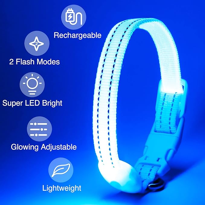 Light Up Dog Collar at Night, Led Dog Collar Adjustable, Rechargeable Waterproof, Dog Lights for Night Walking, Glow in The Dark (S, Blue)