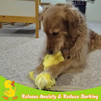 EXPAWLORER Plush Squeaky Duck Dog Toy - Dog Toys to Keep Them Busy, Soft Stuffed Animal, Best Birthday Gift Interactive Filled Chew Toys for Small Medium Dogs Puppy Biting Training Teething, Yellow