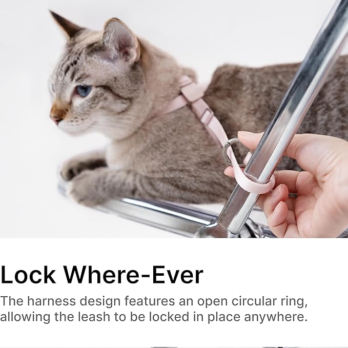 Cat Harness Escape-Proof Anti-Choking Adjustable Nylon Harness Lightweight with Anodized Aluminum Buckle, Ideal for Cats Outdoor Walking and Training, IDA Award (Blush Pink, S (13.8"))