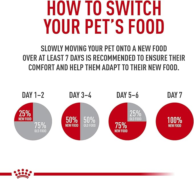 Royal Canin Feline Health Nutrition Dry Kitten Food, Supports Digestive Health, Immune Support and Healthy Energy, 3 lb Bag