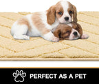 Tindbea Dog Mat for Muddy Paws,Absorbs Moisture Dirt Non-Slip Washable Mud Mat for Dogs,Soft Rubber Backing Front Inside Pet Rug for Entryway, Mud Dog Paws, Patio(20"x48",Beige)