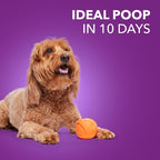 IAMS Advanced Health Healthy Digestion Adult Dry Dog Food with Real Chicken, 27 lb. Bag