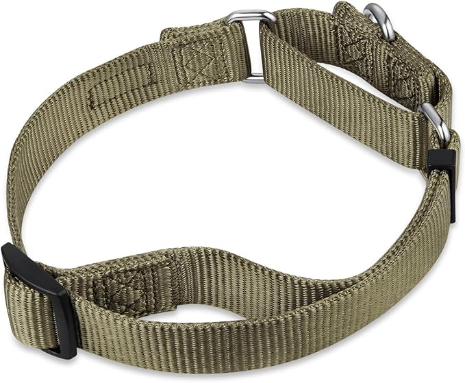 Hyhug Martingale Collar for Dogs Large Green |Escape - Proof Heavy Duty Nylon Durable No Pull, Ideal for Training & Daily Walks