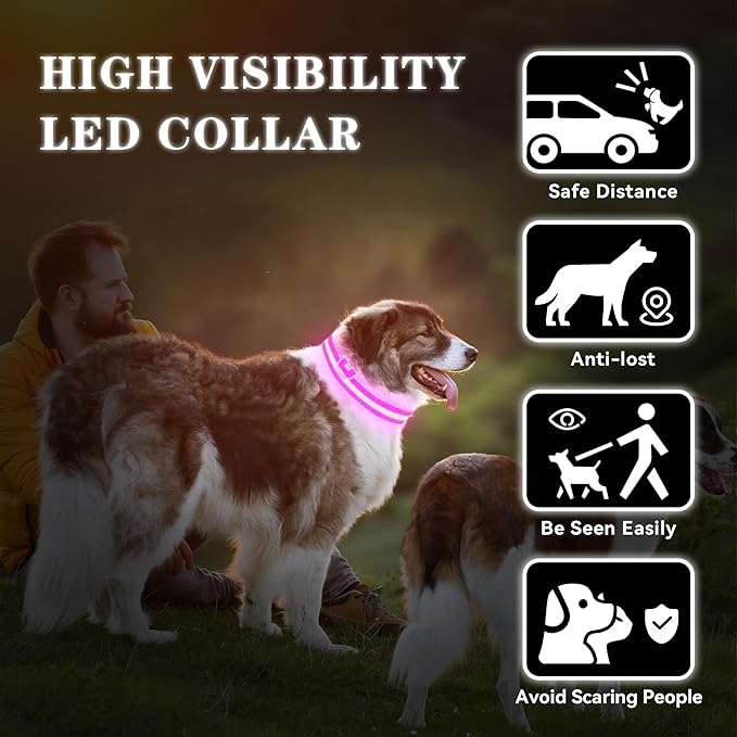 LED Light Up Dog Collar Rechargeable Waterproof, Glow in Dark Dog Collar, Lighted Dog Collars for Night Walking Charging USB, Safety for Small Medium Large Dogs (S, Pink)