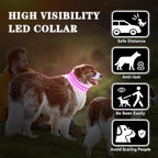 LED Light Up Dog Collar Rechargeable Waterproof, Glow in Dark Dog Collar, Lighted Dog Collars for Night Walking Charging USB, Safety for Small Medium Large Dogs (S, Pink)