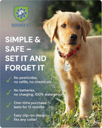 Natural Flea & Tick Repellent Collar Tag for Dogs & Cats – BioPower Pet Shield – Safe for Pets When Used as Directed – Lasts 1 Full Year - Regular Tag (2 Pack)