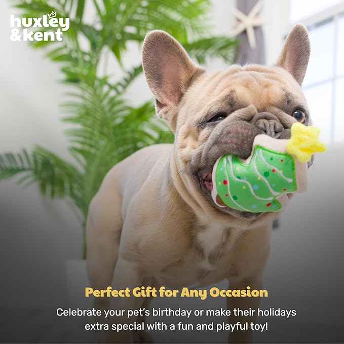 Huxley & Kent Funny Dog Toy w/Squeaker – Holiday Power Plush Squeaky Dog Toys for Small Dogs – Durable Small Stuffed Animal for Indoor Play & Fetch - Tiny Tuff Christmas Tree Cookie