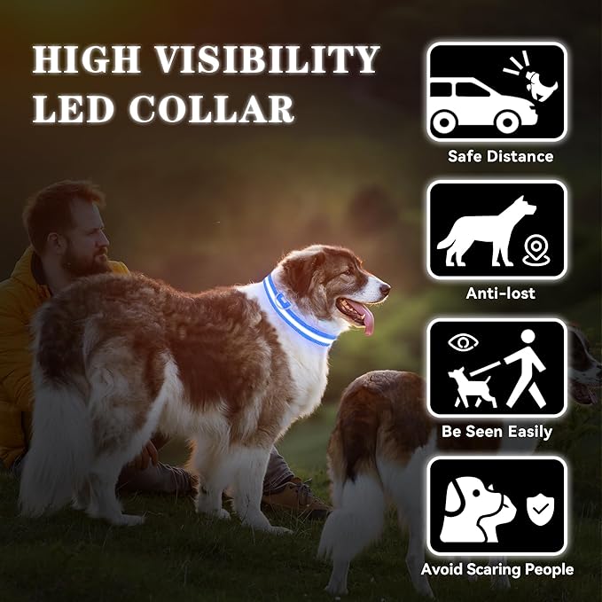 LED Light Up Dog Collar Rechargeable Waterproof, Glow in Dark Dog Collar, Lighted Dog Collars for Night Walking Charging USB, Safety for Small Medium Large Dogs (XL, Blue)