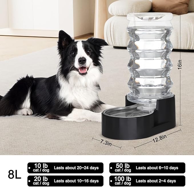 RIZZARI Dog Water Dispenser Bowl: 8L Large Black Stainless Steel Automatic Pet Dispenser with Triple Filter and Specialized Brush - for Senior Dogs with Joint Problems in Garage Garden
