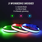 YFbrite Full Adjustbale LED Dog Collar, Full Illuminated Light up Dog Collars, Reflective Dog Collar Light Glowing in The Dark for All Dogs Safety (Large, Green-2)