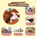 Squeaky Dog Toys, Durable Tug of War Chew Toys for Small, Medium and Large Dogs, Interactive Puppy Toy for Teeth Cleaning, Birthday Gift - Couch