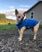 Gooby Zip Up Fleece Dog Sweater - Blue, Small - Warm Pullover Fleece Step-in Dog Jacket with Dual D Ring Leash for Small to Medium Dogs
