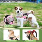 Service Dog Vest Harness+ID Tag+10 Patches,Metal Serivce Dog Tag&Reflective Emotional Support Dog Vest with Handle for Small Dogs,Easy Put On/Off for Training/Walking/Everyday Pink XS