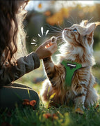 FAYOGOO Cat Harness, Cat Leash and Harness Set for Walking Escape Proof, Harness for Small Cats/Small Dogs, Large Kitten/Puppy Harness and Leash, Harness for Cats S-XXL(Neon Green, X-Large)