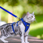 PUPTECK Cat Harness and Leash Set Escape Proof for Walking, Breathable Mash Vest Adjustable Harness for Cats Puppy Small Animals, Reflective at Night, Blue Small