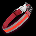 PetIsay LED Dog Collar Metal Buckle - Heavy Duty Light up Collars - Rechargeable IP68 Waterproof - Lighted Dog Collar for Night Walking, Hiking, Camping (Large, Red)