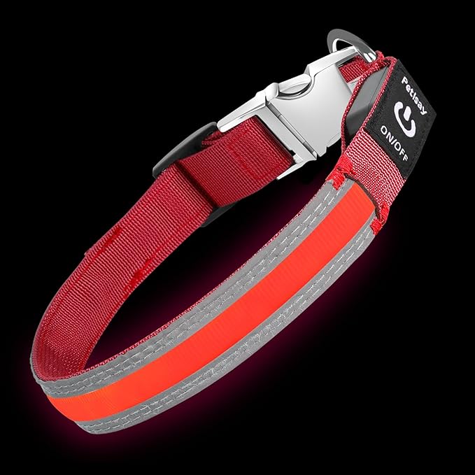 PetIsay LED Dog Collar Metal Buckle - Heavy Duty Light up Collars - Rechargeable IP68 Waterproof - Lighted Dog Collar for Night Walking, Hiking, Camping (Large, Red)
