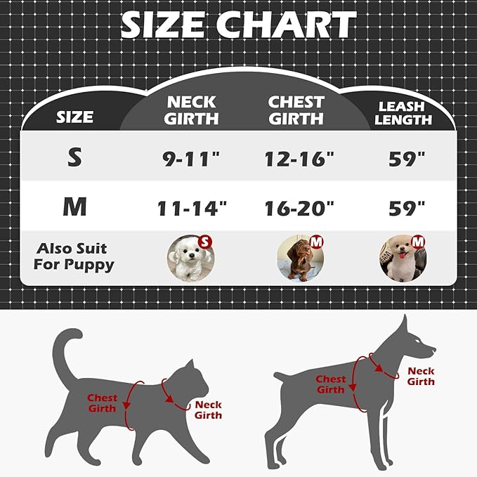 EXPAWLORER Cat Harness and Leash Set - Adjustable Escape Proof, Soft Reflective Vest Harness for Outdoor Walking, Breathable Lightweight Jacket for Small Medium Cats, Black M