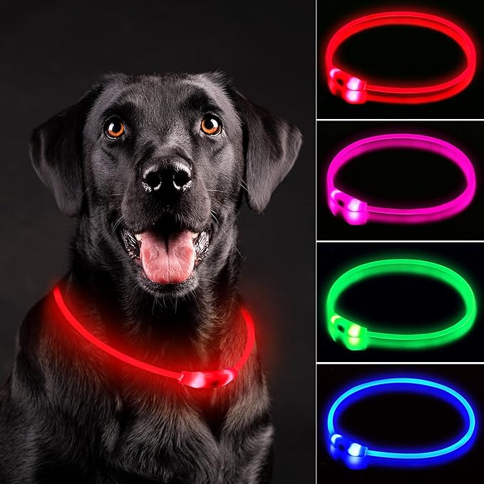 LED Dog Collar, Rechargeable Light Up Dog Collars,IP67 Waterproof Dog Lights for Night Walking，Adjustable, Reusable Safety Necklace for Small Medium Large Dogs (Red)