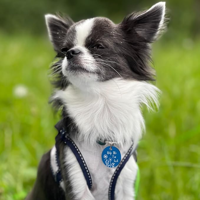 MYLUCKYTAG QR Code Stainless Steel Dog ID Tag - Personalized, Online Pet Profile, Email Location Alert, Durable