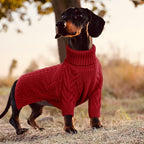 ASENKU XXL Dog Sweater for Extra Large Dogs, Pet Sweatshirt Apparel Turtleneck Pullover Winter Outfits for Pitbull, Labrador Retriever((Red, 2XL)