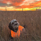 JACKO & CO - Fleece Vest Sweater with Leash Ring - Soft Lightweight Breathable for Puppies Small Medium Dogs, Kitten, Cats, Chihuahua - Warm for Fall/Autumn/Winter (Pumpkin, Large 10-16lbs)