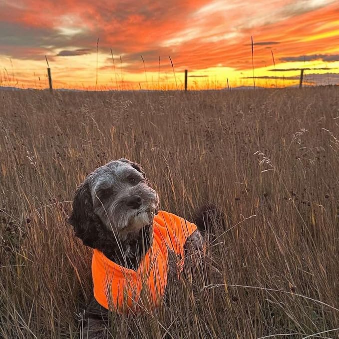 JACKO & CO - Fleece Vest Sweater with Leash Ring - Soft Lightweight Breathable for Puppies Small Medium Dogs, Kitten, Cats, Chihuahua - Warm for Fall/Autumn/Winter (Pumpkin, Large 10-16lbs)