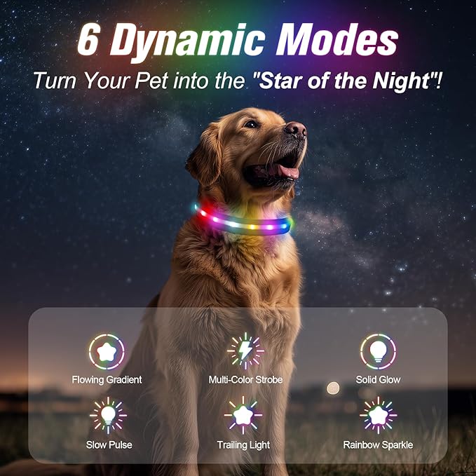 LED Dog Collar, Light Up Dog Collar, USB Rechargeable - Brightest Dog Lights for Night Walking, 6 Light Modes, Adjustable for Dog Safety(Medium, Purple)