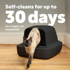 PetSafe ScoopFree Crystal Pro Self-Cleaning Cat Litter Box System – Enclosed Front-Entry – Advanced Odor Control – Includes 1 Disposable Crystal Litter Tray – Black (ZAL00-18159)