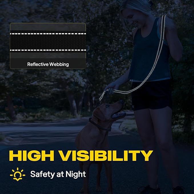 Fida 2-in-1 Slip Leads for Dogs with Double Handles, Tangle Free Leash for Large Dogs That Pull, Heavy Duty No Pull Training Leash Reflective Soft Padded for Large & Medium Breed(6ft,Black)