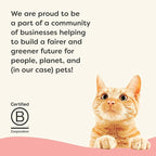 Applaws Vitality Wet Cat Food in Broth, Natural Canned Cat Food, Wet Food for Cats with Added Vitamins and Minerals, Grain and Carrageenan Free, Tuna Fillet & Salmon in Broth (24 Count, 5.5oz Cans)