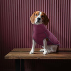 ROZKITCH Dog Winter Coat Soft Pullover Pajamas, Pet Windproof Warm Cold Weather Jacket Vest Cozy Onesie Jumpsuit Apparel Outfit Clothes for Small, Medium, Large Dogs Walking Hiking Travel Sleep Red