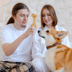 Wildfang® Leather Dog Toy, Medium - Leather Bone for Teething Dog, Dental Toys for Puppies, Training for Chewing Muscles, Puppy Chew Bones for Light or Medium Chewers (for Dogs 22-33 lbs), Pack of 3