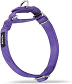 Hyhug Martingale Collar for Dogs Large Purple |Escape - Proof Heavy Duty Nylon Durable No Pull, Ideal for Training & Daily Walks