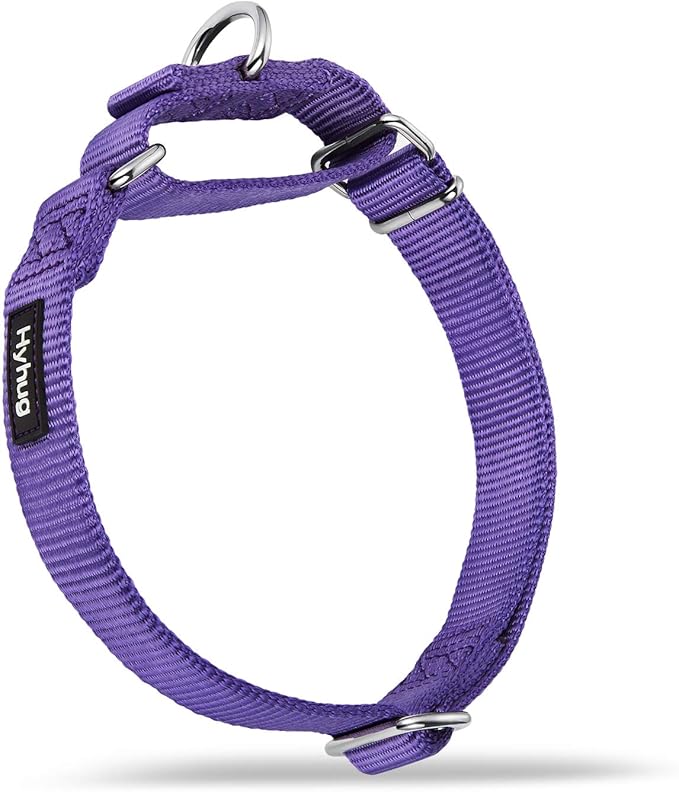 Hyhug Martingale Collar for Dogs Large Purple |Escape - Proof Heavy Duty Nylon Durable No Pull, Ideal for Training & Daily Walks