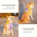PHOEPET No Pull Dog Harness, Unique Colors Reflective Adjustable Dog Vest, with Soft Training Handle Metal Clips for Small Medium Large Dogs (Baby Purple Base & Yellow Straps,M)