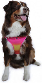 Doggie Design Dog Harness - No Choke Harness for Pets, Dog Vest, Mesh Polyester, Simple Step in and Go Design, Reflective Vest for Dogs - Raspberry Pink and Orange, 3XL