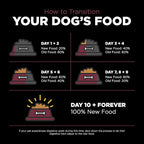 Go! Solutions Sensitivities Limited Ingredients, Grain-Free Dry Dog Food, Lamb Recipe for Sensitive Stomach, 12 lb Bag