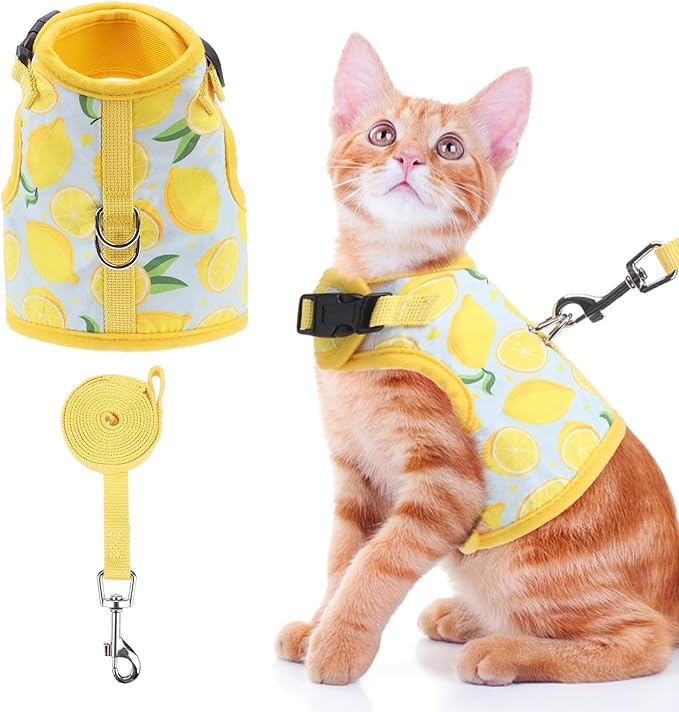 BINGPET Cat Harness and Leash Set Escape Proof for Walking,Step-in Harness with Lightweight Soft Breathable Mesh,Adjustable Easy Control Harness (Sunshine Citrine, M(Chest:10.5-13.5"))
