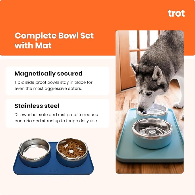 Trot Pets Premium Dog Bowls | Stainless Steel Bowl Set for Small, Medium, or Large Dogs | Non-Slip Food and & Water Slow Feeder | Durable, BPA-Free, Anti-Skid, Dishwasher Safe (Sky, Small)